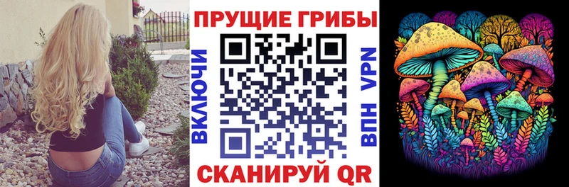 Галлюциногенные грибы GOLDEN TEACHER  Сусуман 