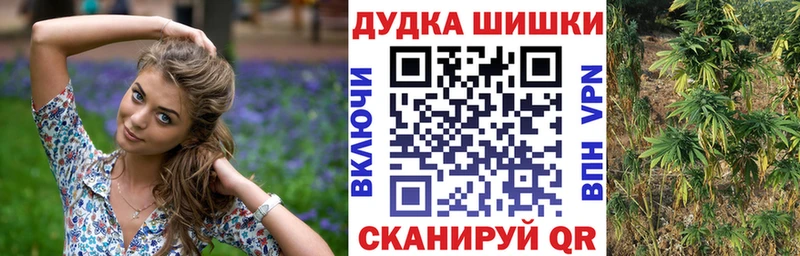 Шишки марихуана марихуана  где продают   Сусуман 
